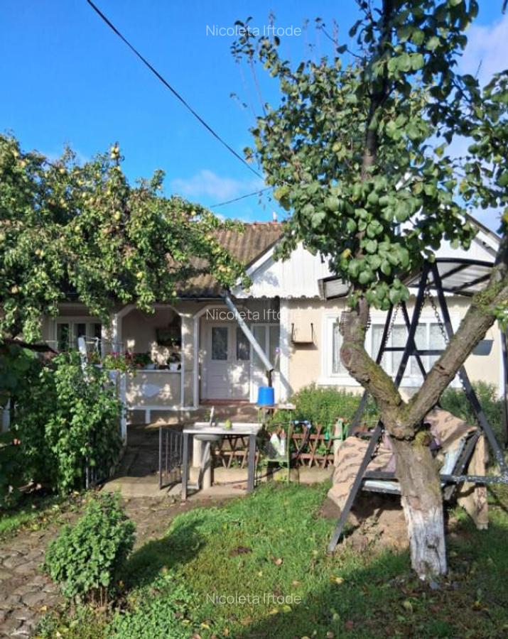 Casa si teren 2000mp Draguseni - 4