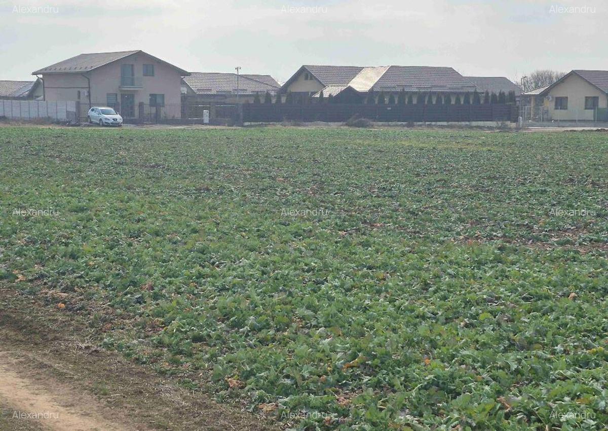 Teren intravilan Balotesti,langa ansamblul Terra si padure, 17000 euro - 11