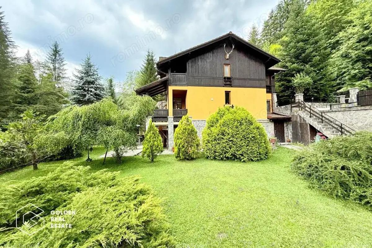 Vila de exceptie in Sinaia, mobilata, utilata, cu vedere superba - 2