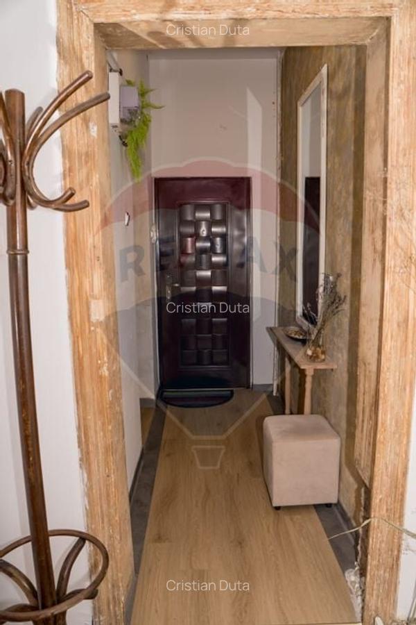 Apartament cu 2 camere de inchiriat in zona Ferdinand - 10