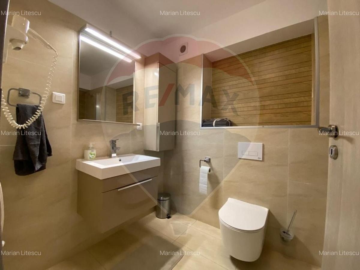 Apartament cu 3 camere de inchiriat, Pta Victoriei. Primaria Sector 1 - 15