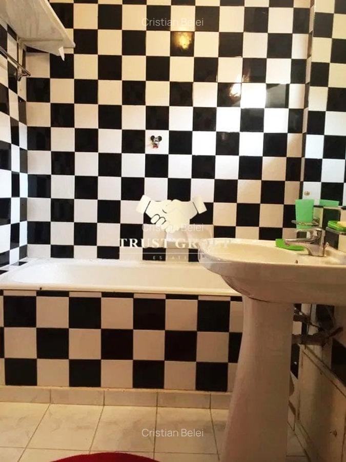 Apartament 3 camere Banu Manta-Parc Kiseleff-Victoriei - 6