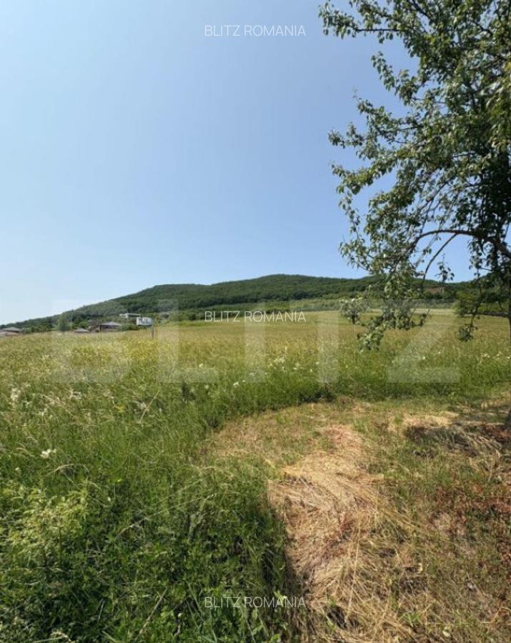 Teren Intravilan, 2.600 mp, zona Metaller, Viisoara - 2