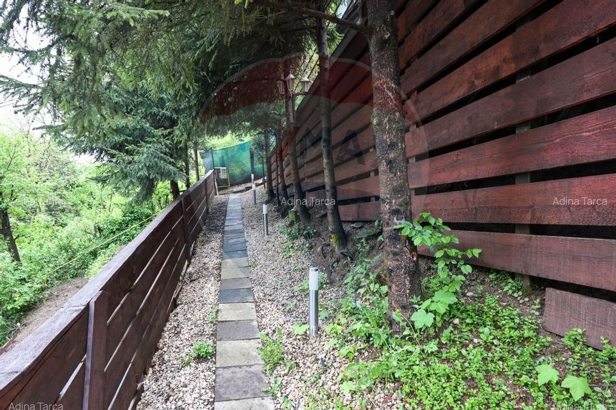 Casa in inima naturii - Brasov - 33