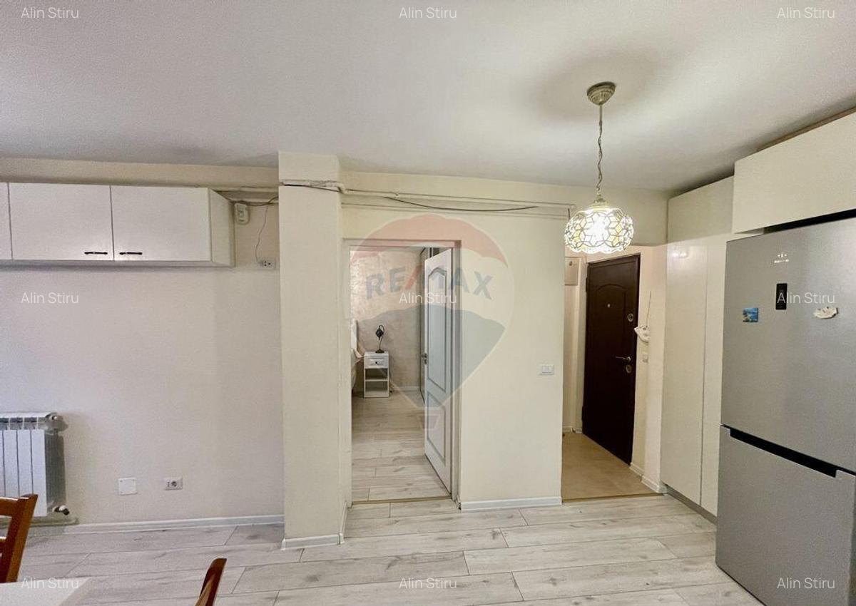 Apartament modern Cuza Voda - 10