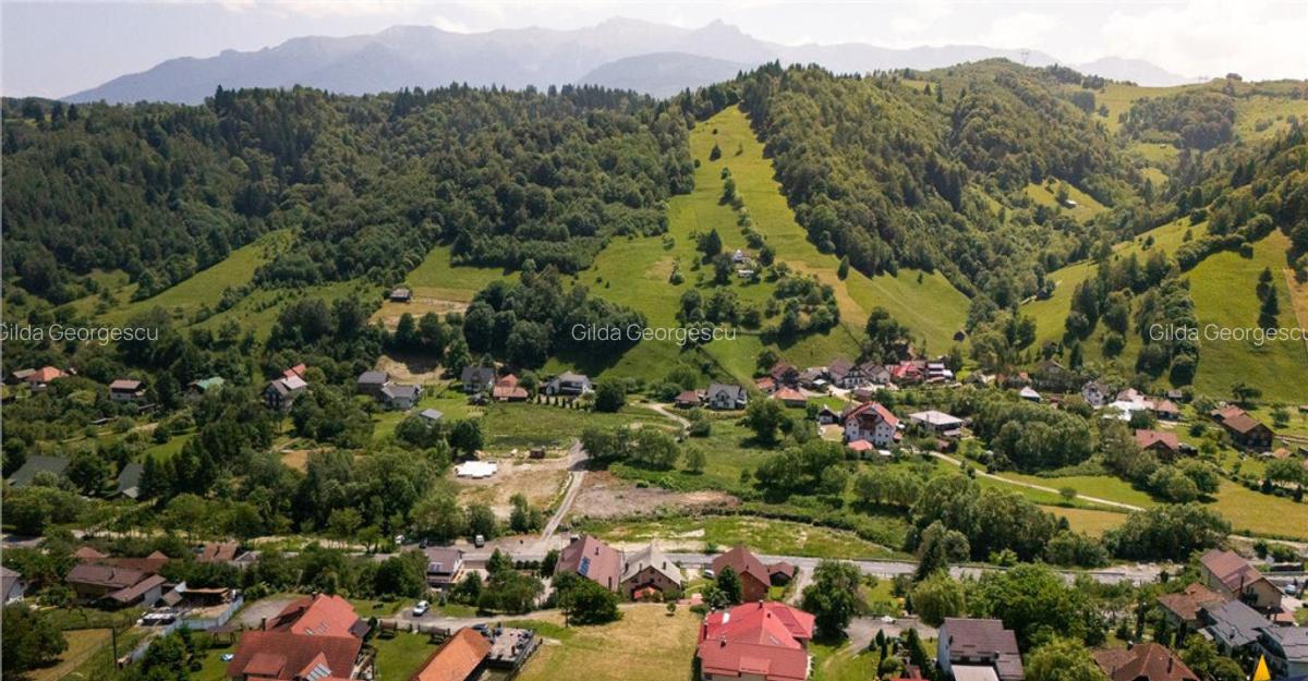 FILM! Pensiune in decor de poveste, loc de istorie si legend - 9