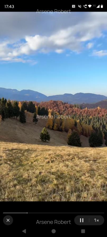 Teren la munte pentru cabanuta intre Breaza si Sinaia - 1