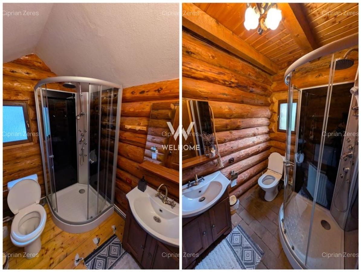 Cabana / Casa de vacanta pe Transfagarasan - Sibiu - 7