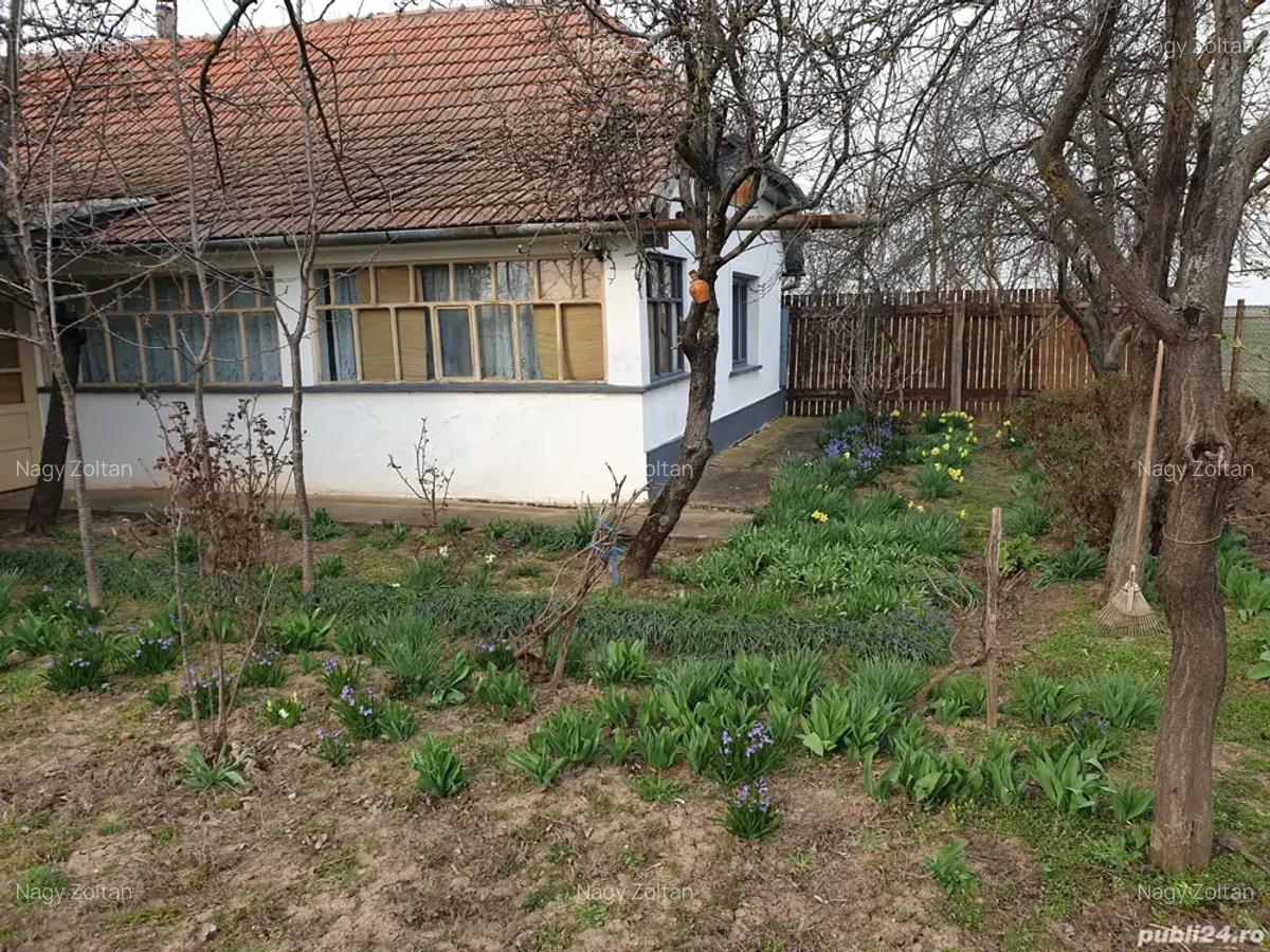 De vanzare casa Ortisoara - 6