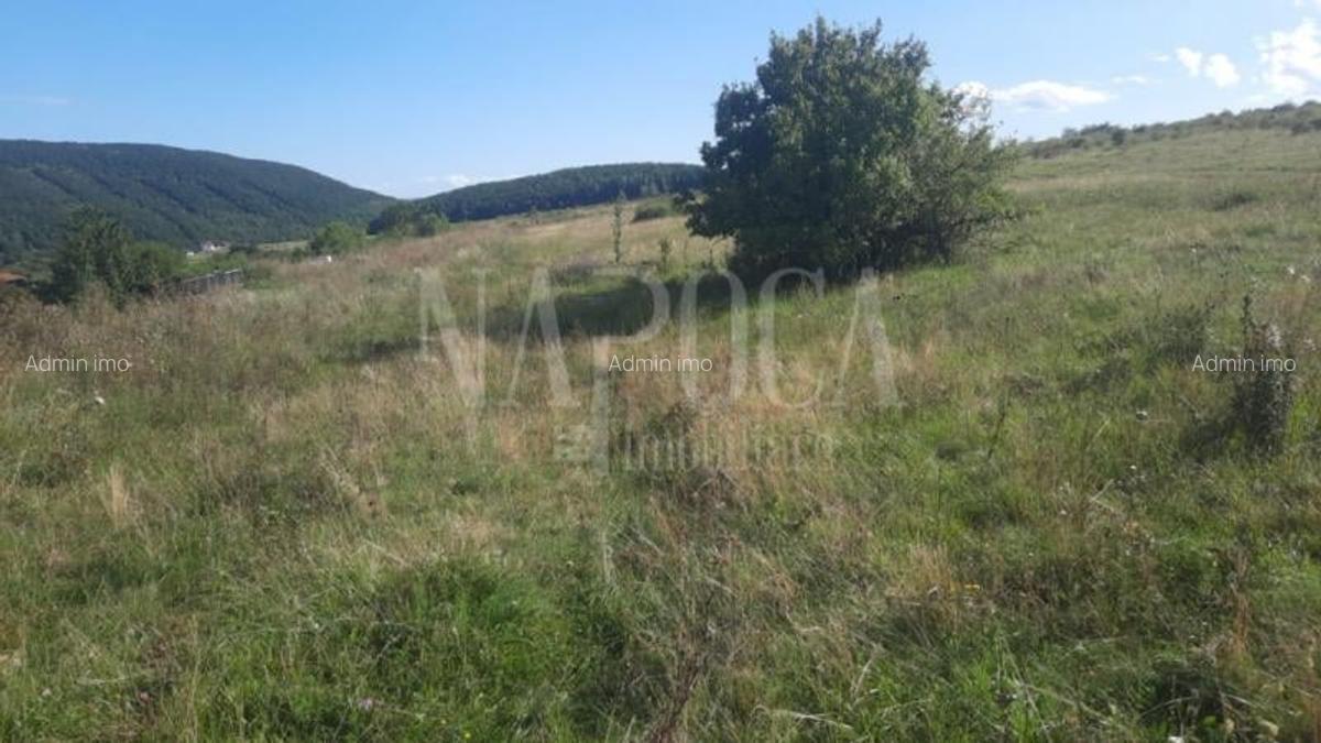 Teren intravilan pentru constructii de vanzare in Salicea - 2