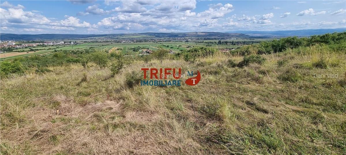 Teren extravilan de 2500 mp de vanzare  in Paclisa priveliste deosebita - 4