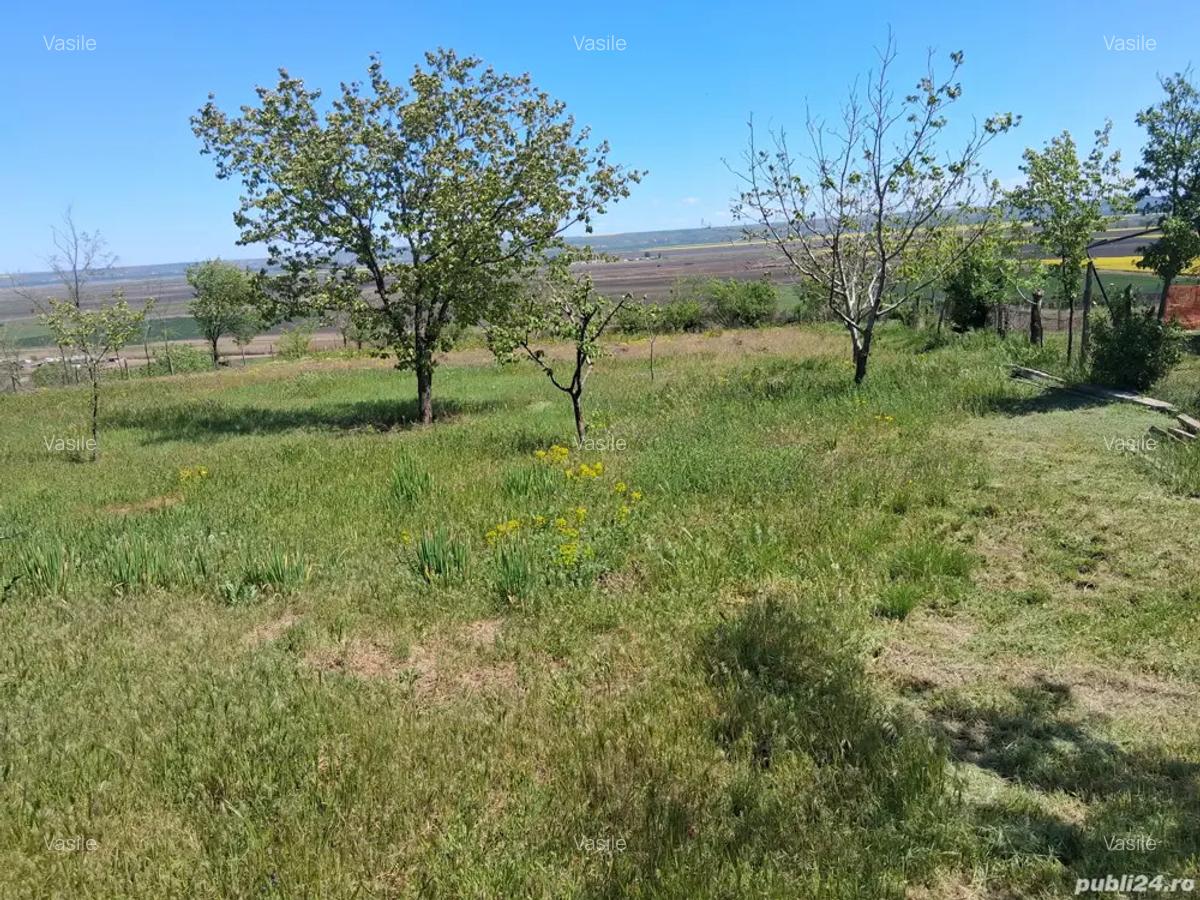 Vand schimb casa tamaoani - 2