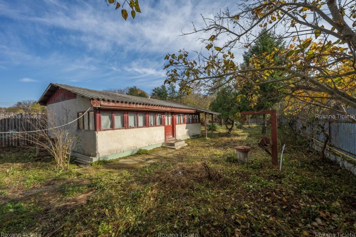 SNAGOV – CENTRAL, CASA 144 MP, LOT 1000 MP! - 23