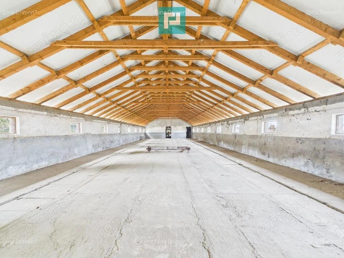 Hala pentru produc?ie / ferma zootehnica - Varia? - 2