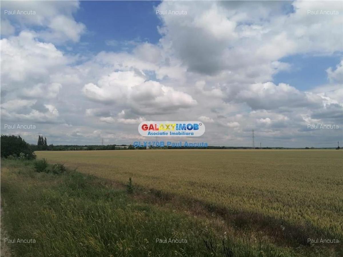 Teren Buftea Gara 52000 mp Industrial Depozitare - 2