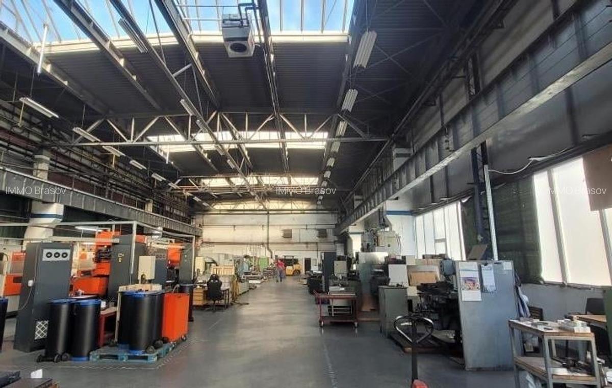 Hale de 270 - 370 mp in Parcul Industrial Roman pt. productie, depozitare - 5