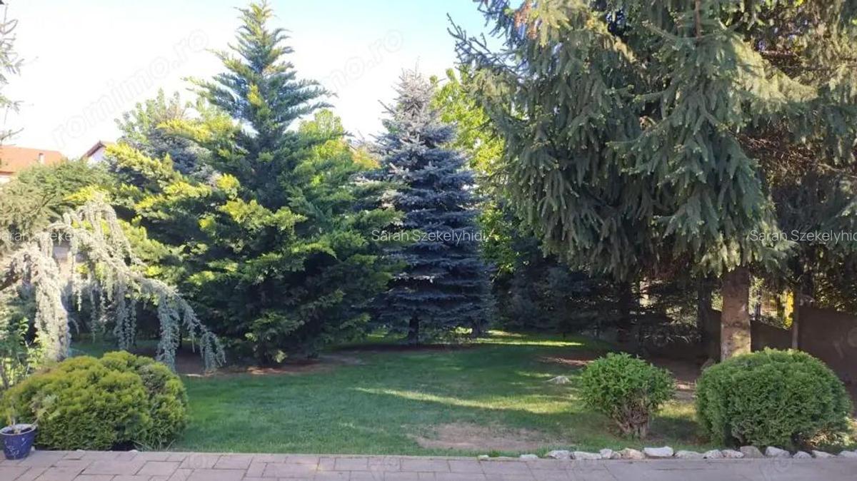 BRASADAS vinde vila 5 cam 190mp teren 10 ari str. Dara. - 8