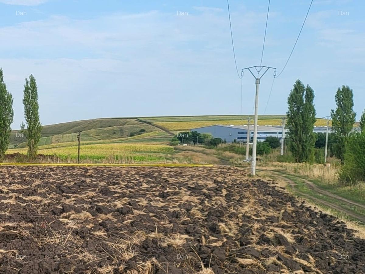 Proprietar vand teren pentru hale in Tureni (langa nod cu A3) - 2