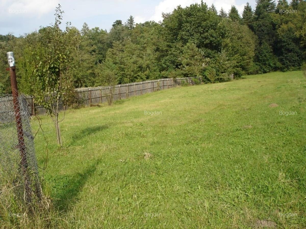 Proprietate  pentru investitii si dezvoltare - 4