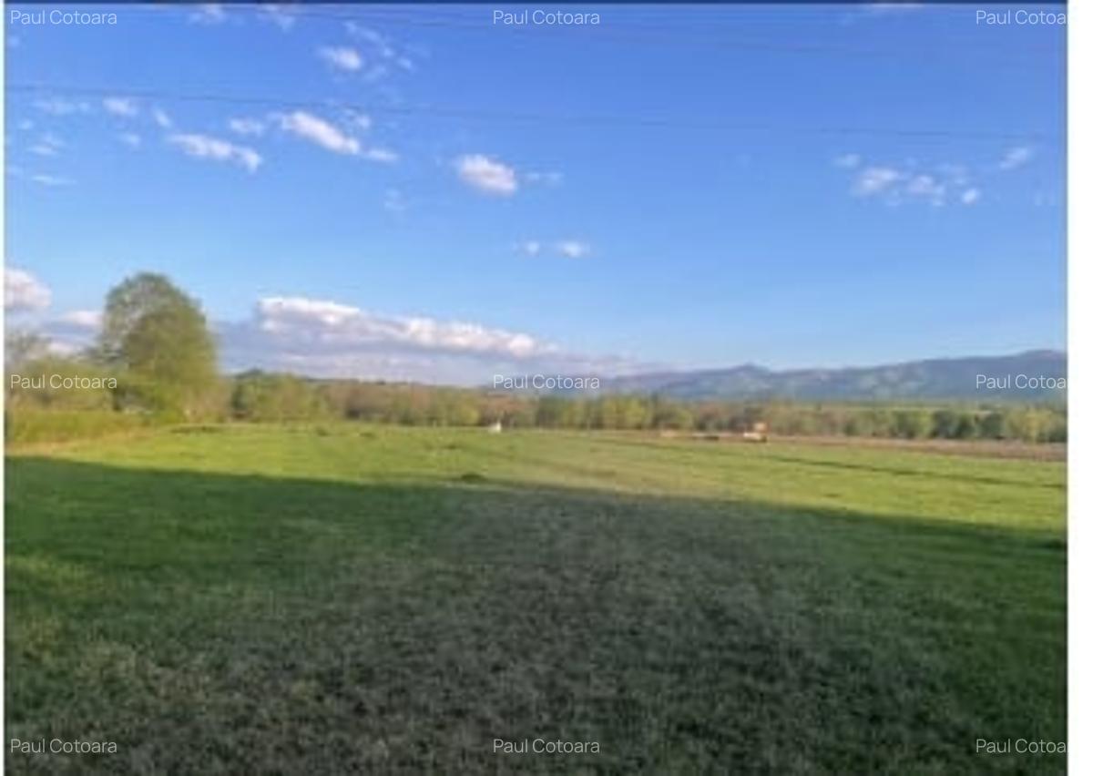 Parcele de vanzare ,Zona Versailles ,500 mp - 1