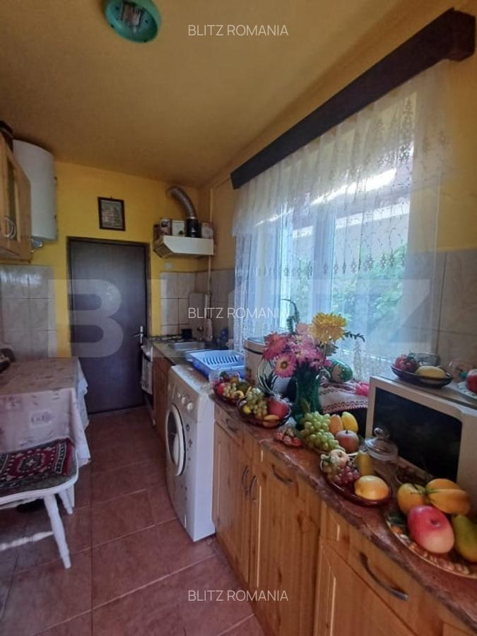 Casa renovabila, 2 camere, zona Cetate - 16