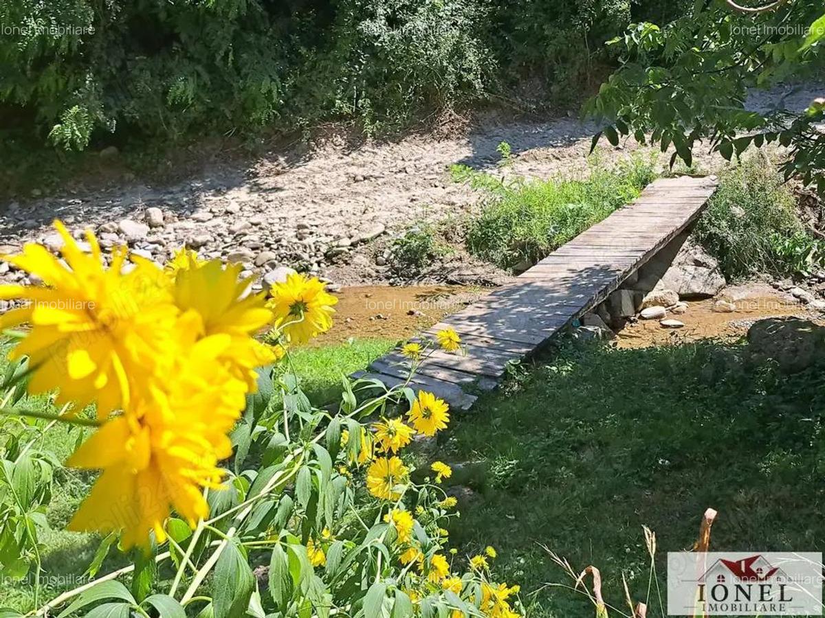 Casa de vanzare in zona Vintu cu 10.790 mp teren - 9