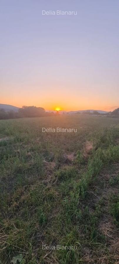 Teren extravilan 6883mp Odobesti - 1