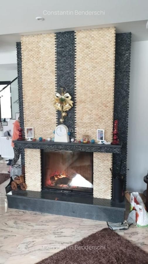 Vila cu 10 camere de vanzare D+P+1 Etaj mansardat in Busteni - 1