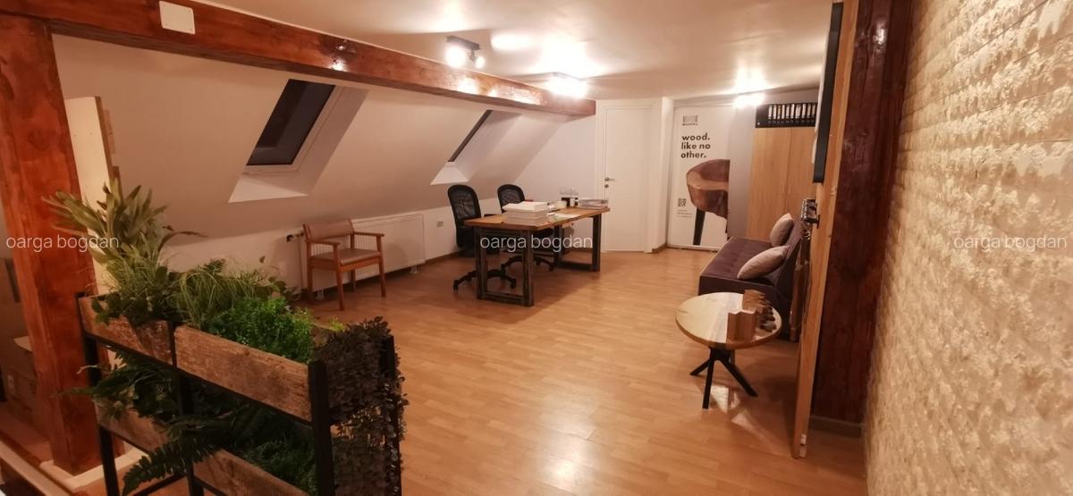 Spațiu de 40 mp de inchiriat - 16