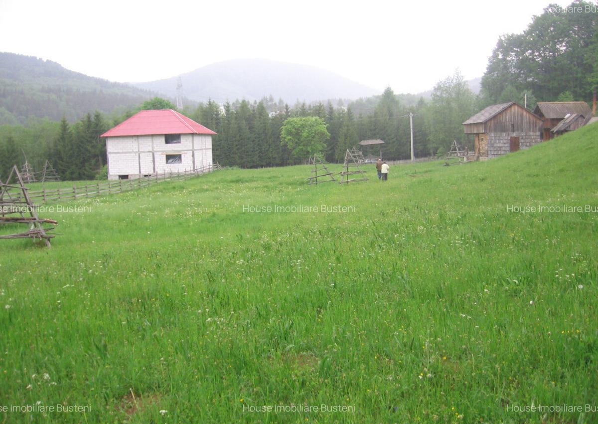 Teren intravilan Valea Doftanei - 3