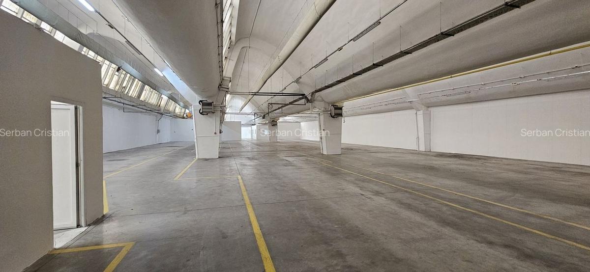 Pantelimon hala productie depozitare - 38