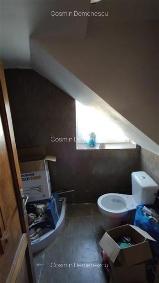 Spatiu Comercial zona Dambovita - 5