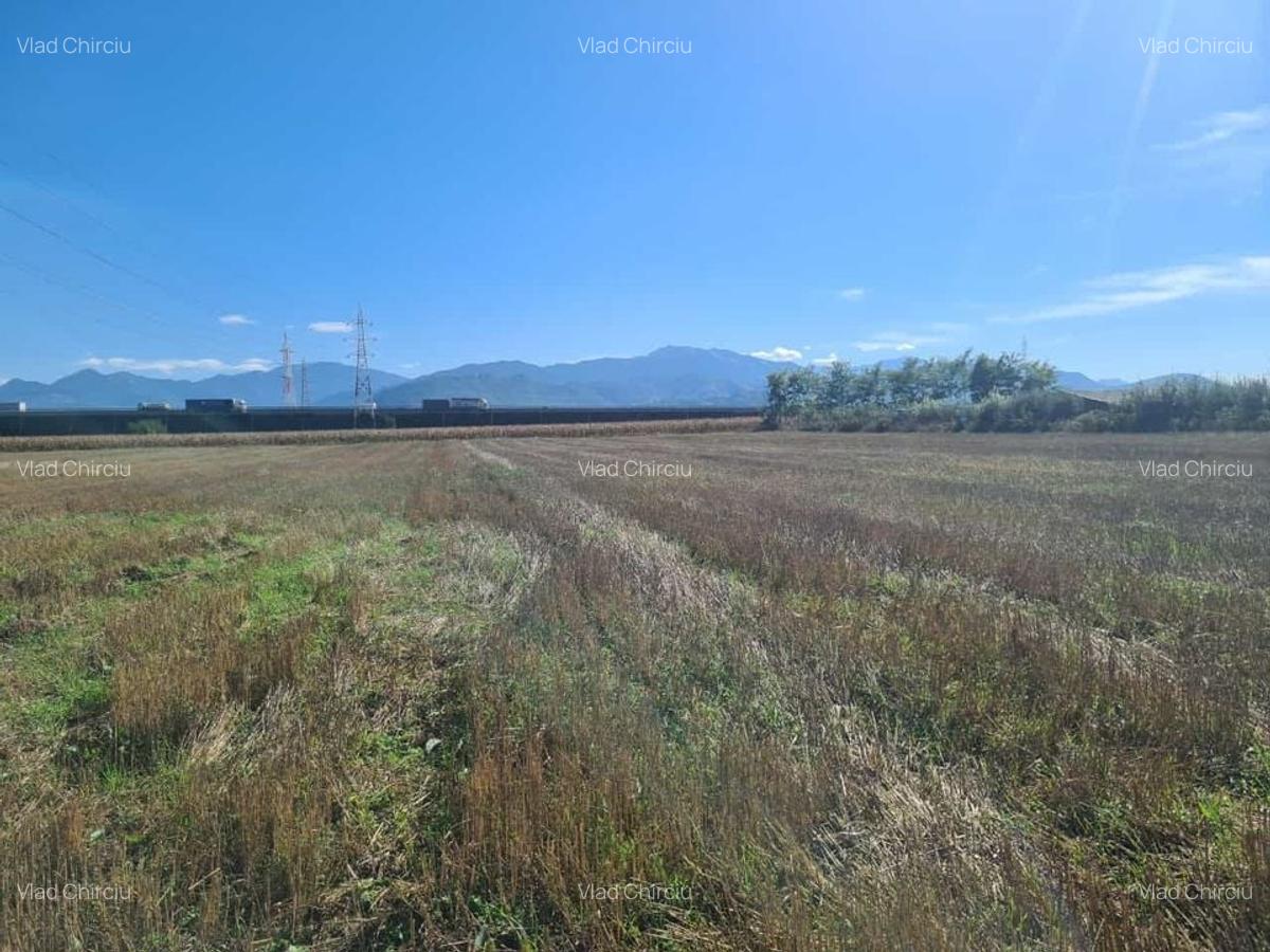 Teren Construcții intravilan de 10000 mp, în Stupini - 2