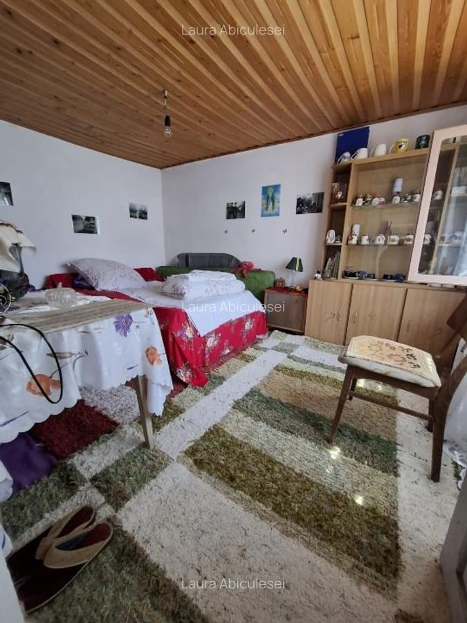 Casa 6 camere, Garaj , Teren 5000 MP - 16