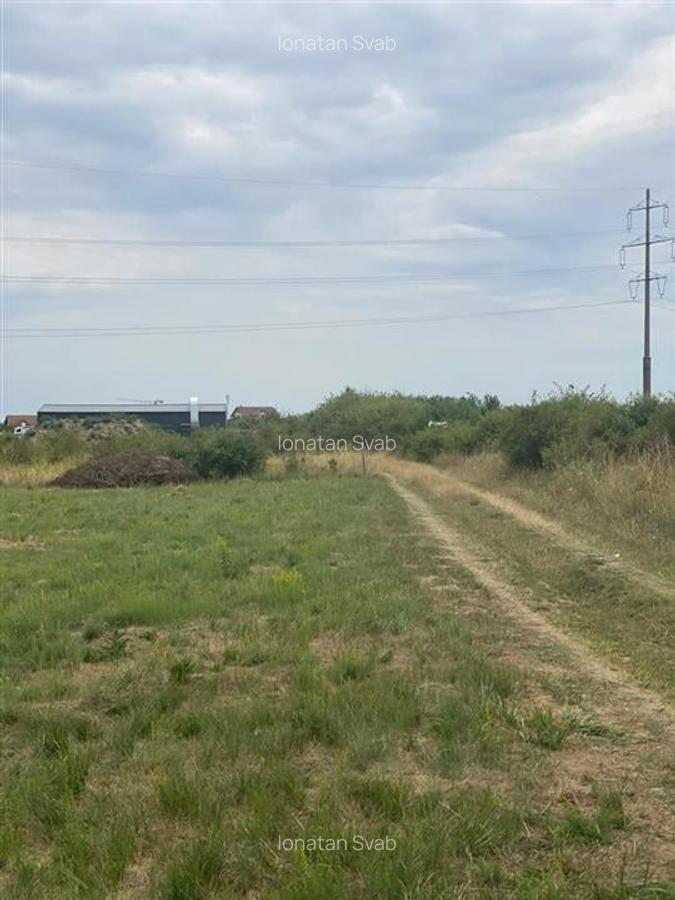 Teren Construcții intravilan de 3373 mp, în Cihei - 6