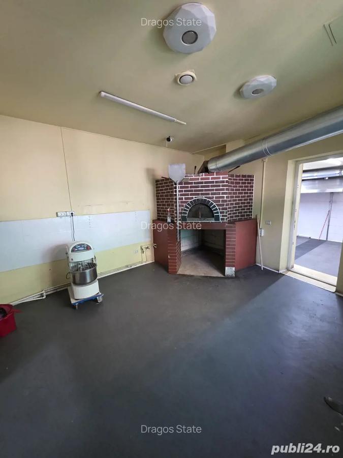 Inchiriere spatiu comercial CENTRAL MOSILOR - 2