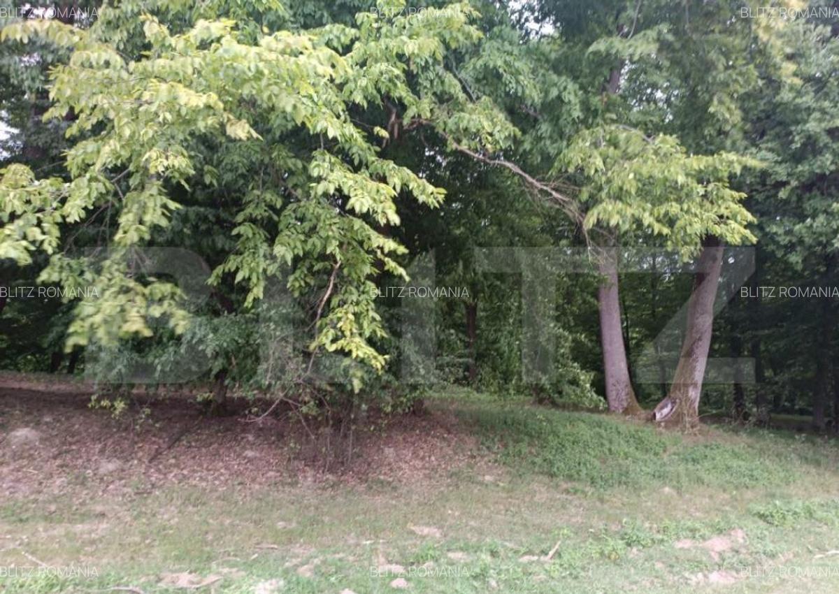 Teren pentru cabana /pensiune locatia perfecta pentru relaxa - 3