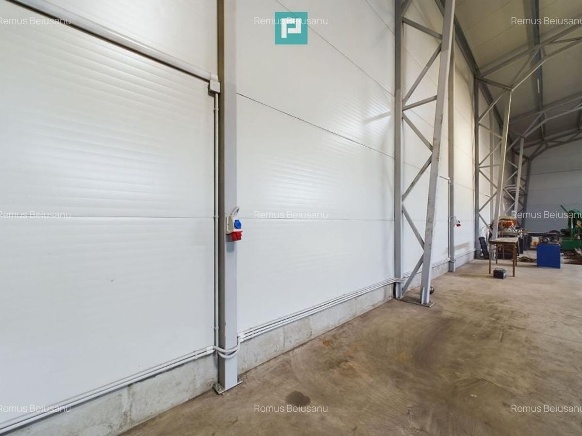 Spațiu industrial, 360 mp în Giarmata - 4