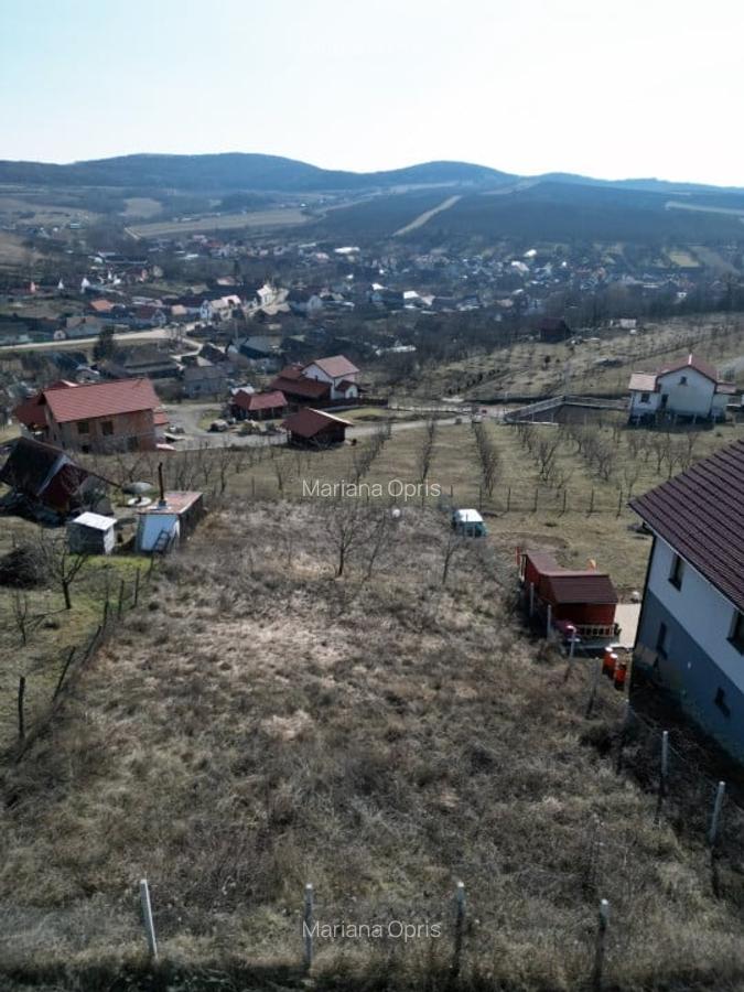 Teren Intravilan 662mp spre vanzare in Hamba ,Sura Mare - 3