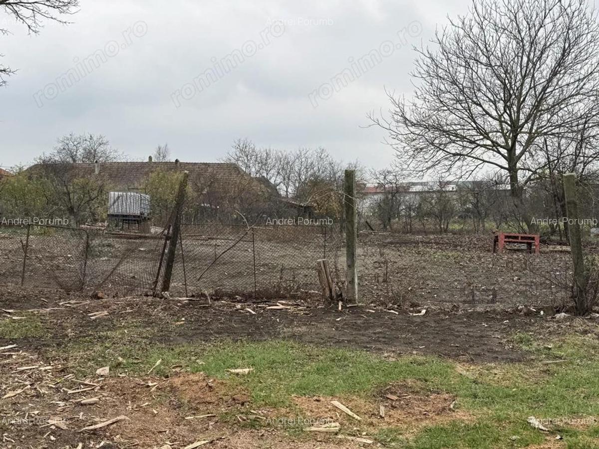 Teren Intravilan Becicherecu Mic,646mp,Utilitatile In Fata Parcelei,Asflat - 2