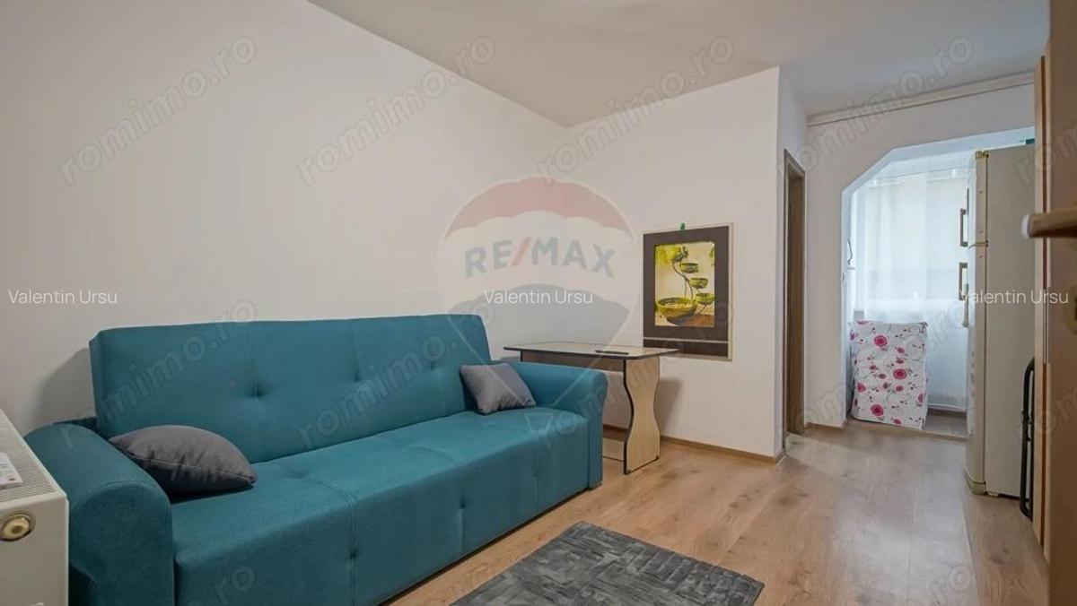Apartament cu 1 camere de inchiriat in zona Bartolomeu - 9