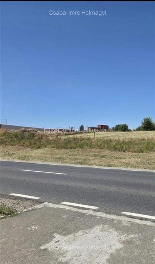 RECO Teren intravilan 900 mp Biharia - 1