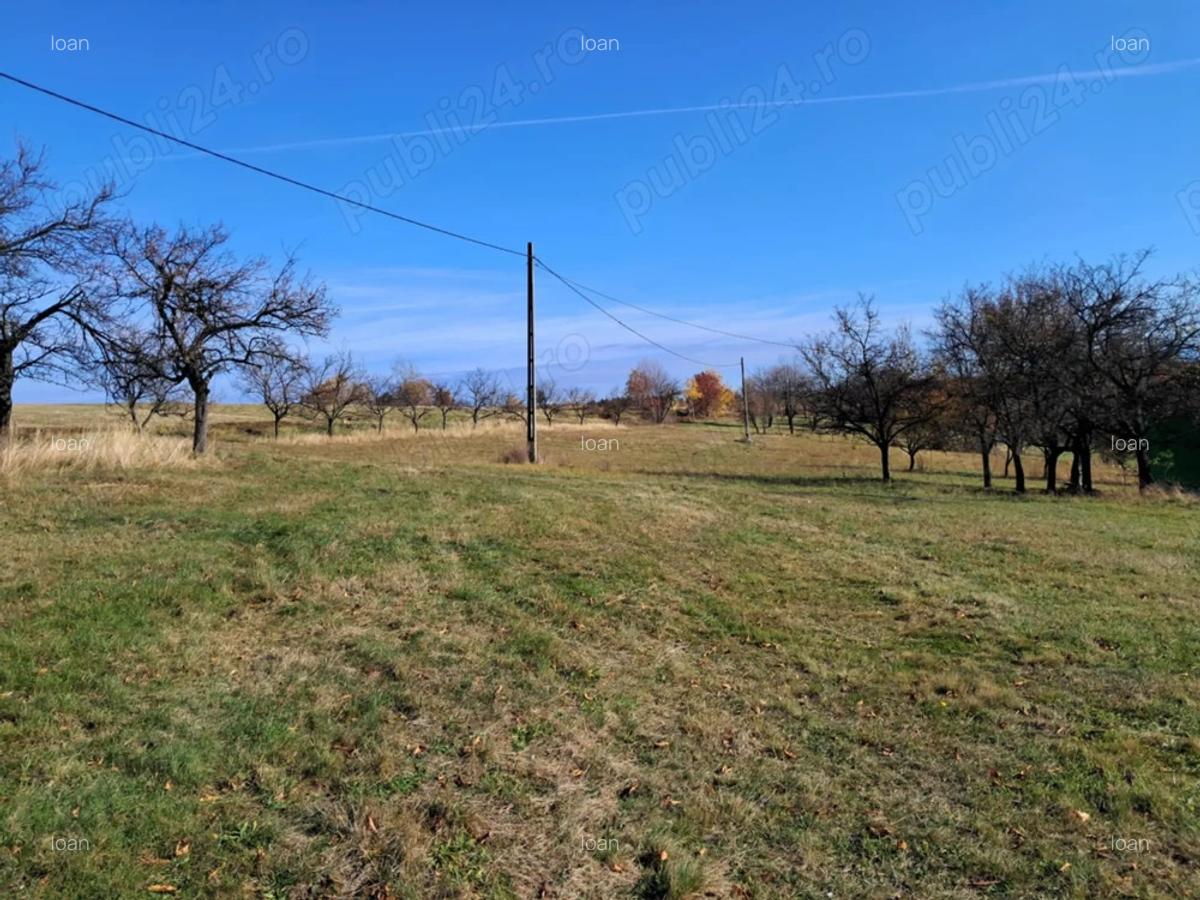 Casa Valea tarnei 8 hectare p mant - 4