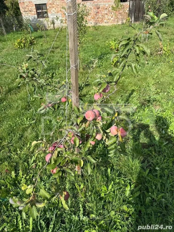 Casa de Vanzare GORNESTI- Renovata 2025 semifinisata. - 8