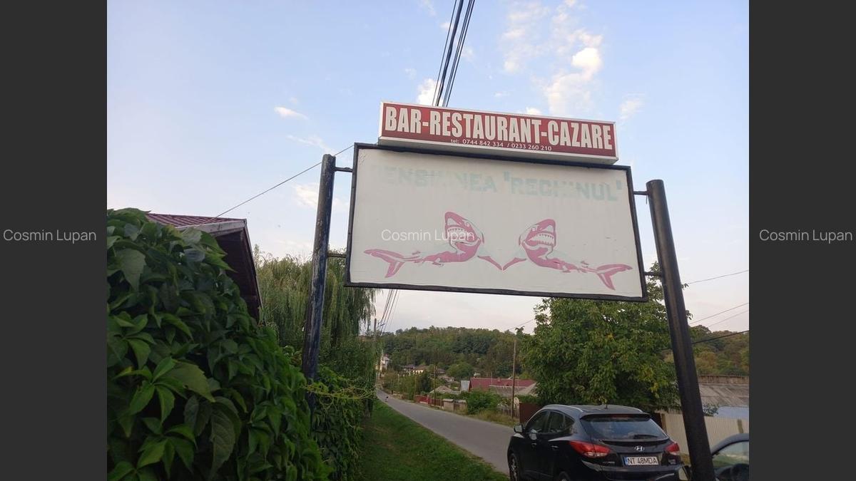 Pensiune cu lac privat și piscină - afacere la cheie în Neamț - 8