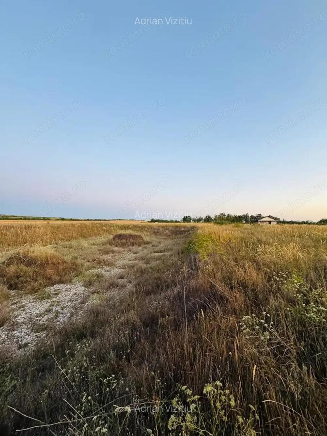 AV655 Teren-Balta 6.666mp, in Masloc-Alios, IDEAL INVESTITIE - 10