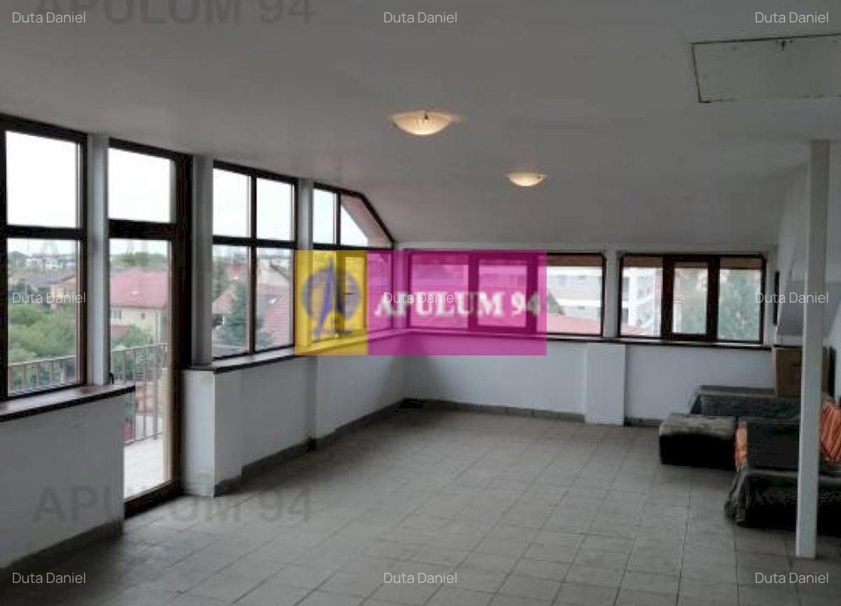 Vila Spatioasa Bucuresti - 9