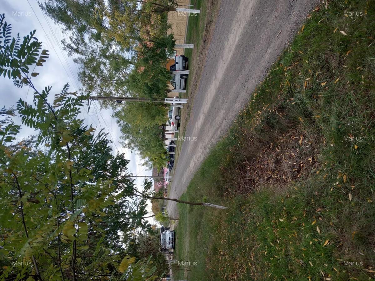 Vand casa sat Ivanda comuna Giulvaz Proprietar - 7 Vand casa sat Ivanda comuna Giulvaz Proprietar - 7