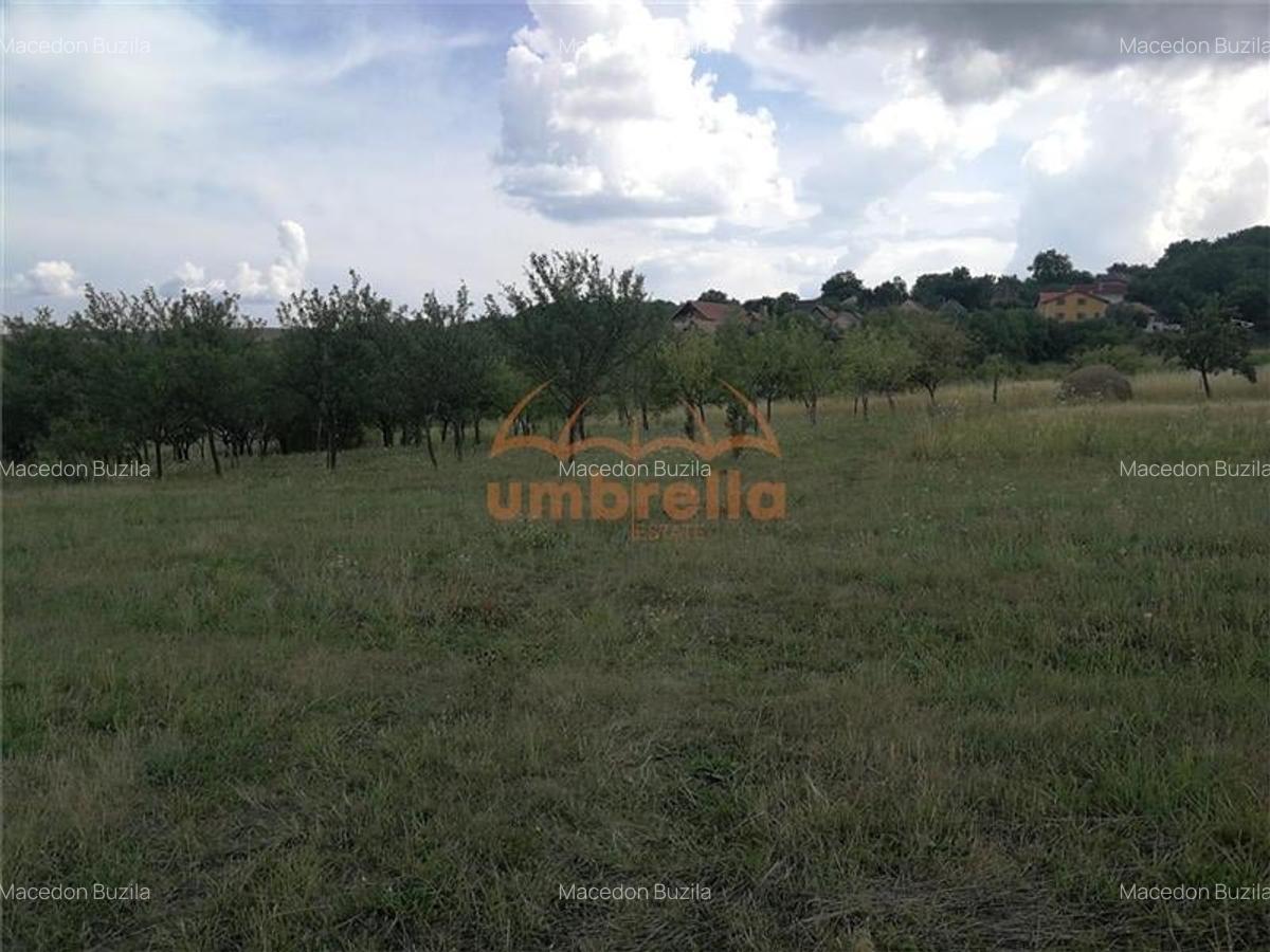De vanzare teren 1.800/? intrav. in Deus- Chinteni ! - 5