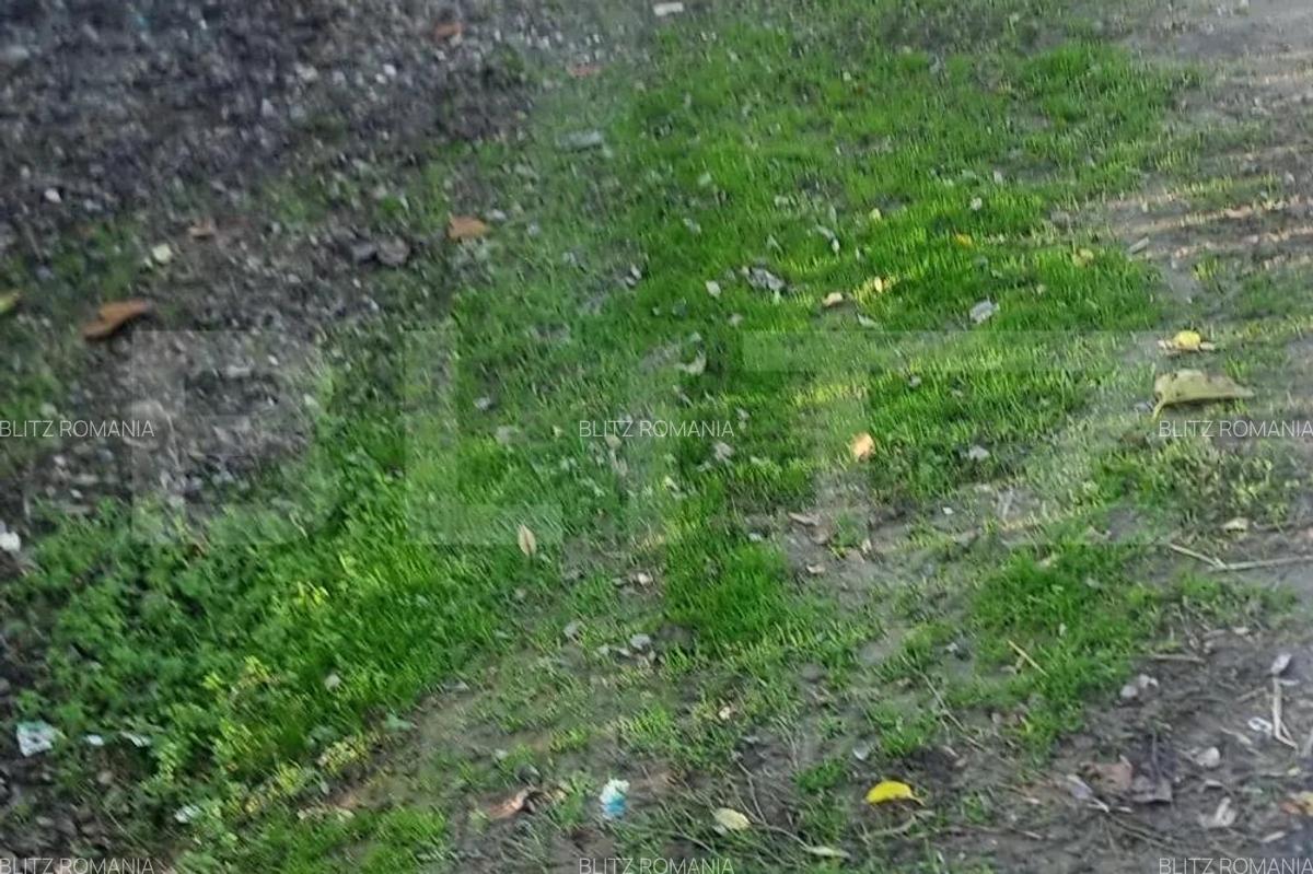 Pachet complet: casa + 800 mp Cocorastii Colt - 10